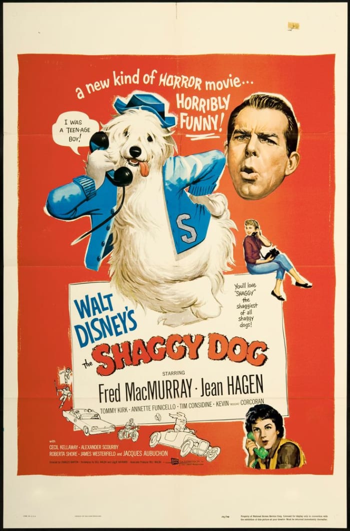 Film Review: The Shaggy Dog (1959) - ReelRundown - Entertainment
