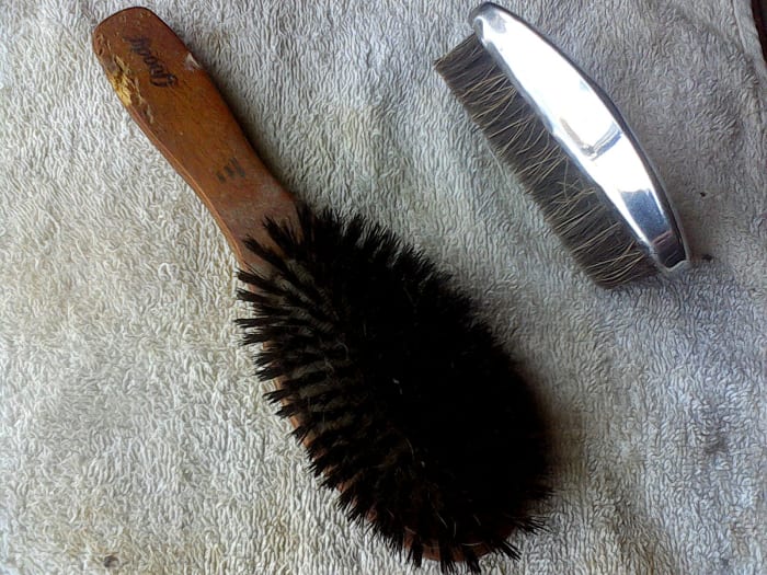 A couple of examples of the styles of brushes for short-haired animals. Both styles shown here are made with stiff, natural hairs. Choose the one that feels most comfortable for you.
