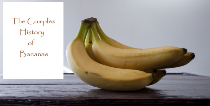 Bananas are eaten around the world. Their history is as complex as the places where they grow. Read on to learn more.