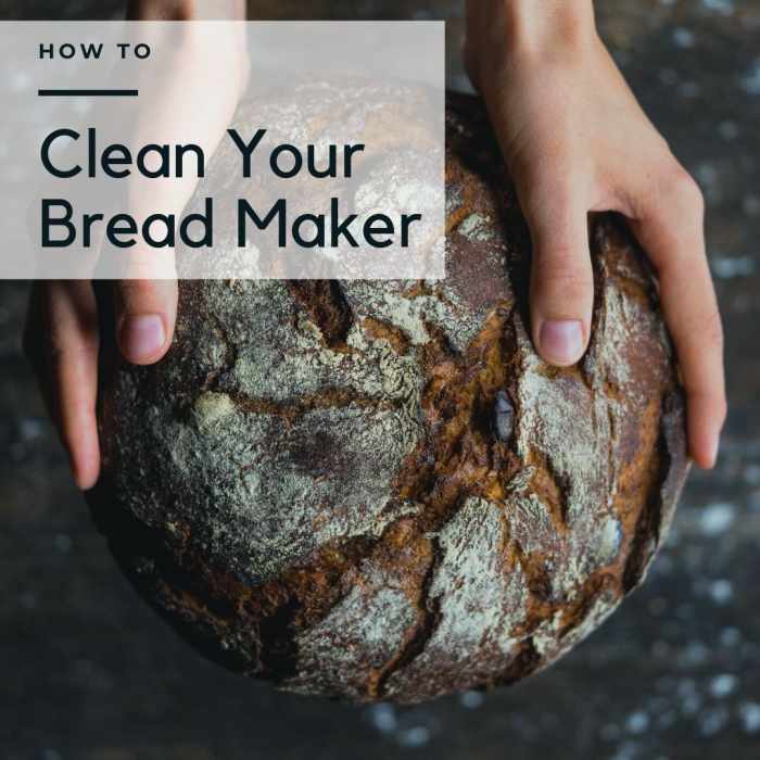 How to Clean a Bread Maker in 4 Easy Steps Delishably