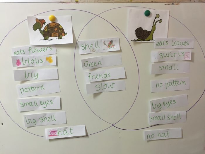 An interactive version in which students place the differences and similarities on a Venn diagram drawn on a posterboard. Originally posted at opsprepinfolit.global2.vic.edu.au