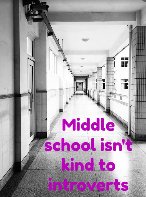 Although the student body can be 50% introverts, middle schools do little to serve this population.