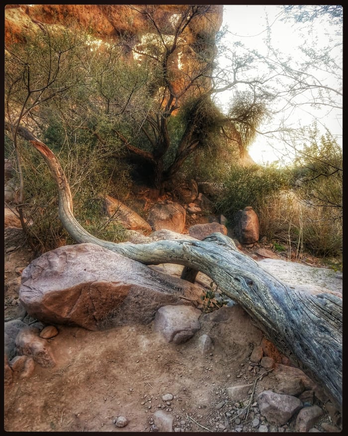All photos by Tamarajo edited with either Instagram, or Snapseed unless noted otherwise This photo was taken at the Siphon Draw Trail