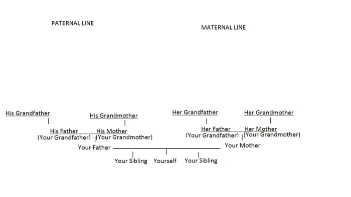 You should end up with a diagram that looks something like this one for your first attempt. (Oooh, look: you're not a mutt--you have a pedigree!)