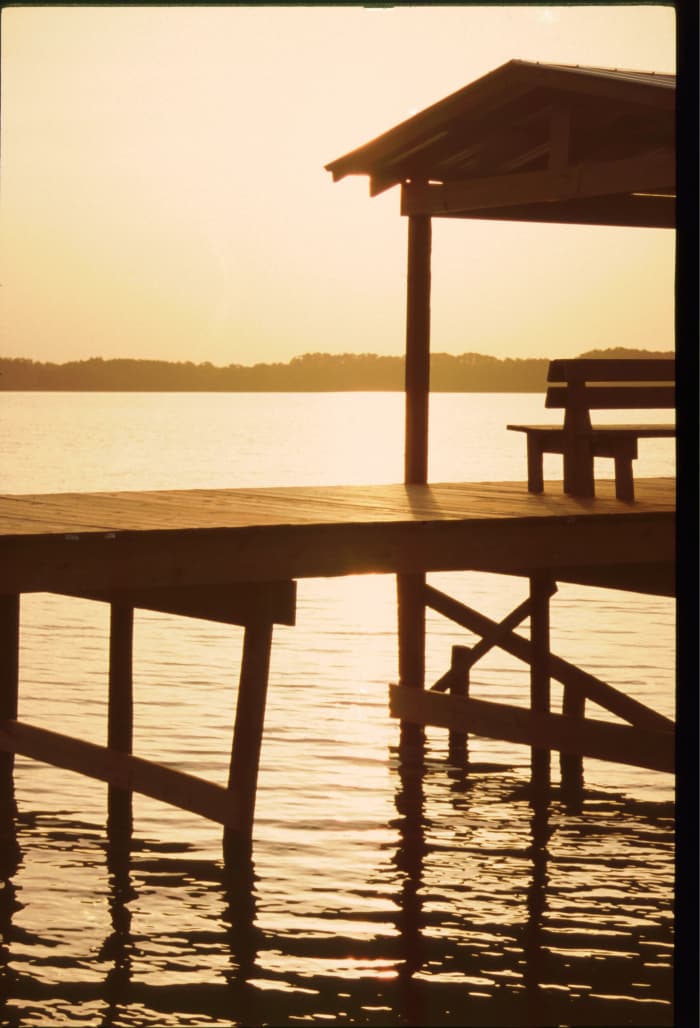 Lake view in Lake Seminole, FL. Shot on manual mode. Auto mode would have made this into a silhouette