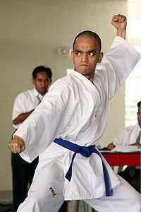 Many fighters being seen as the stereotype of the fighter in a gi and fighting by the rules insulting. There can be a perceived lack of respect.