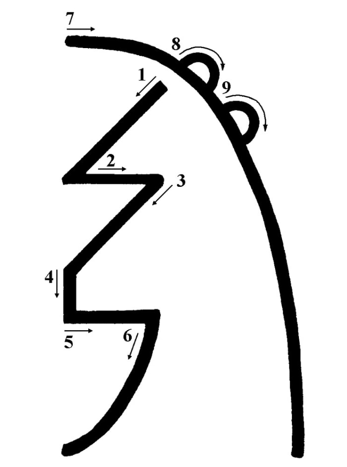 The Sei Hei Ki symbol, with arrows to show the drawing sequence.