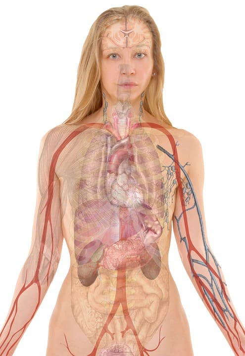 In a standing position, place your hands on your abdominal area to feel the expansion. Eventually, move the hands to the sides for feeling additional expansion from the waistline and lower rib cage.