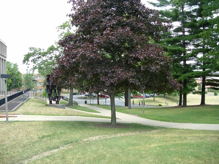 Photo taken from the perspective of the Ohio National Guard soldiers when they opened fire on the students.