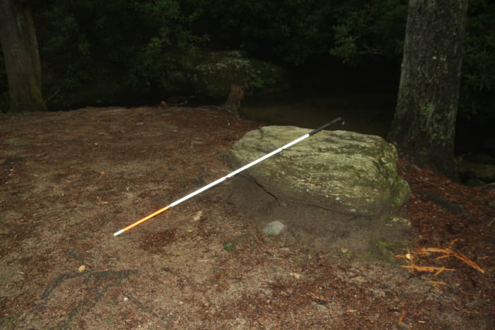 Many people with visual impairments use the white cane to navigate while walking.