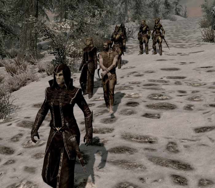 A Thalmor patrol, consisting of Thalmor Justiciar and Thalmor soldiers escorting a Talos worshiper to his demise.