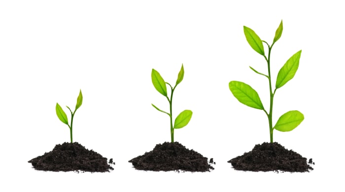 Growing is part of life, and being resilient means you see chances for growth for yourself whenever you face a problem.