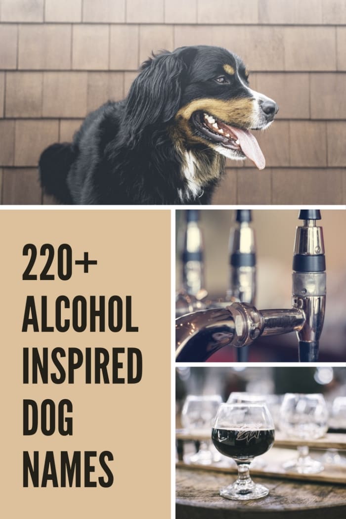 Alkohol-Hunde-.Namen