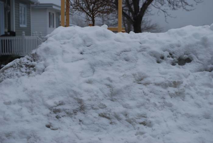 A bank of dirty snow can yield an entire army of faces. How many can you see? I stopped marking them at 22, it was getting a little crowded.