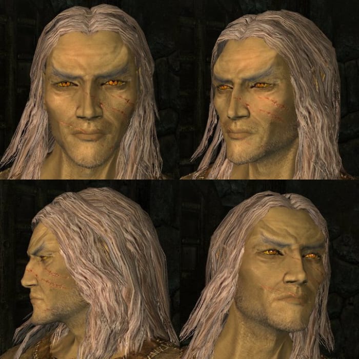 Some races have features that are difficult to modify. Male High Elves, for example, have pronounced chins and eyebrows. In cases like these, you have to build your character around existing limitations.