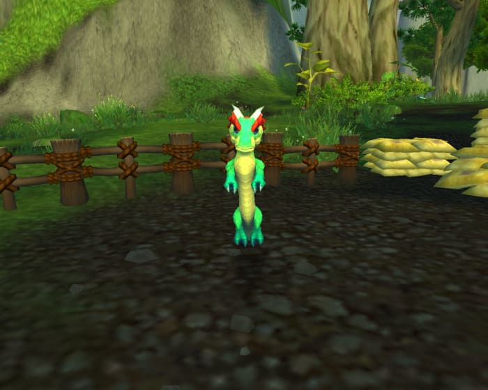 Your hatchling won't grow until you become revered with Order of the Cloud Serpent.