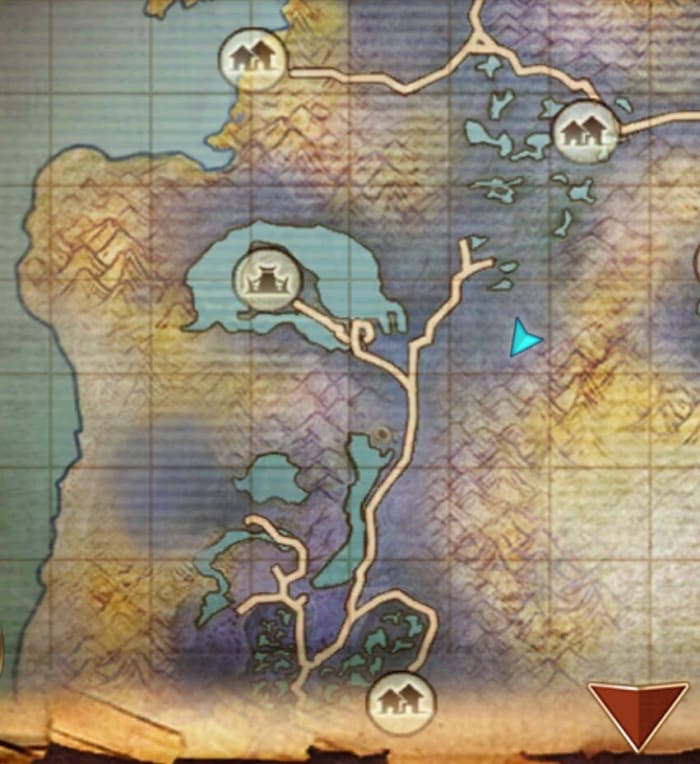 The Mountain Queen Location in Swamp of Wyrms.