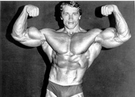 "Strength does not come from winning. Your struggles develop your strength. When you go through hardships and decide not to surrender, that is strength." Arnold Schwarzenegger
