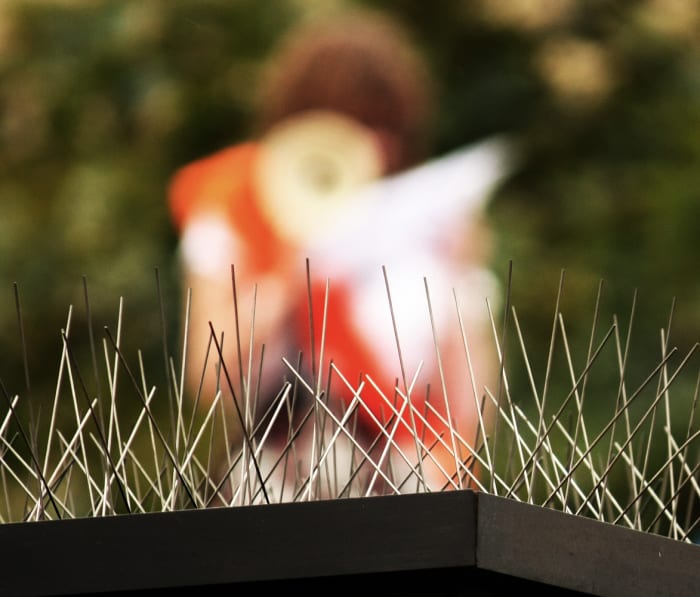 This art project represents what MS patients know well: a life with too many needles. Although there are now oral medications, be sure to thoroughly understand their side effects before you take them.