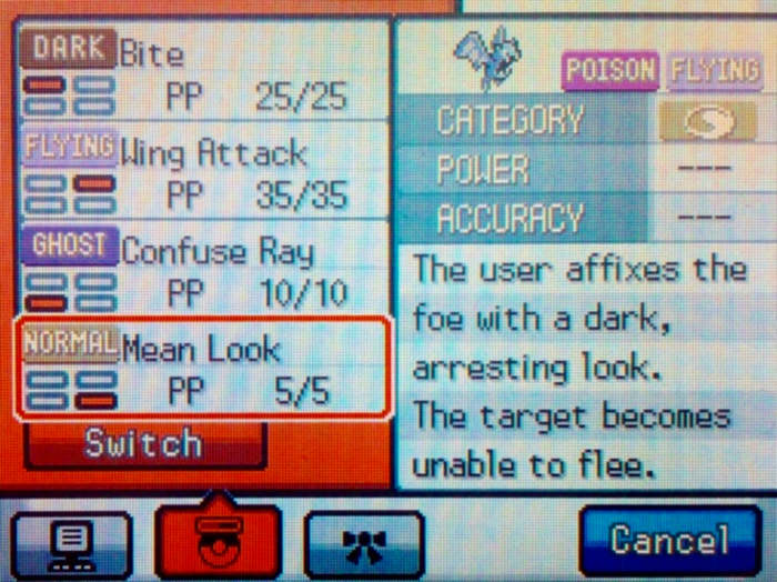 Mean Look is a great move to keep roaming Pokémon, like Raikou, from running away.