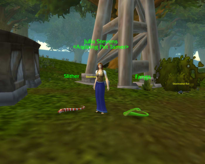 Pet Tamer NPCs are always accompanied by their pet battle teams.