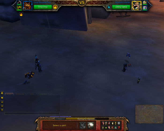 PVP Pet Battles are completely anonymous aside from the pets that battle.