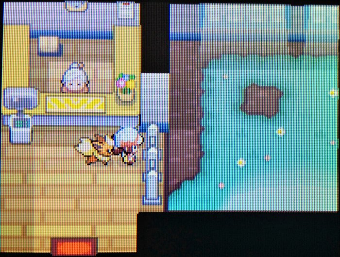 In some games you can watch your Pokémon playing together at the Day Care!
