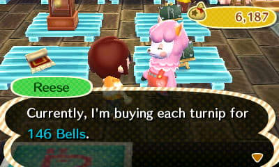 If you talk to Reese at ReTail, she will tell you the current turnip prices for the day.