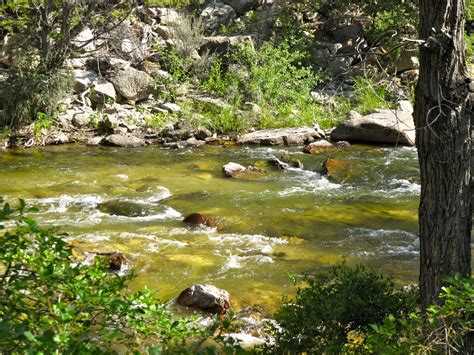 Bolders or other debris blocking the path of the stream can be a place to locate gold. Look on the downstream side where eddies appear and slow the flow of gold flake.