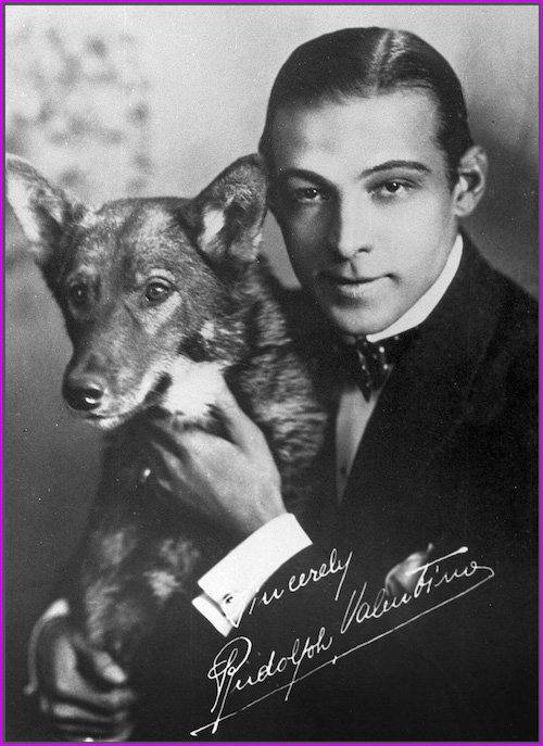 This vintage 1920s photograph of famed silent film star Rudolph Valentino appears to be signed in white ink, but in fact, it's a pre-printed facsimile "signature."