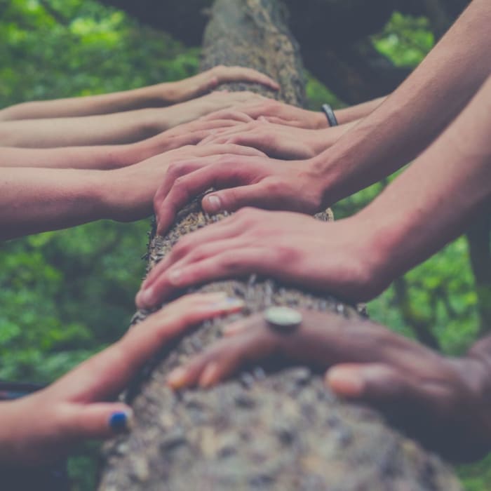 Whether it's tug-of-war, charades, or any other group game, you'll want to choose a team name that captures your team's spirit.