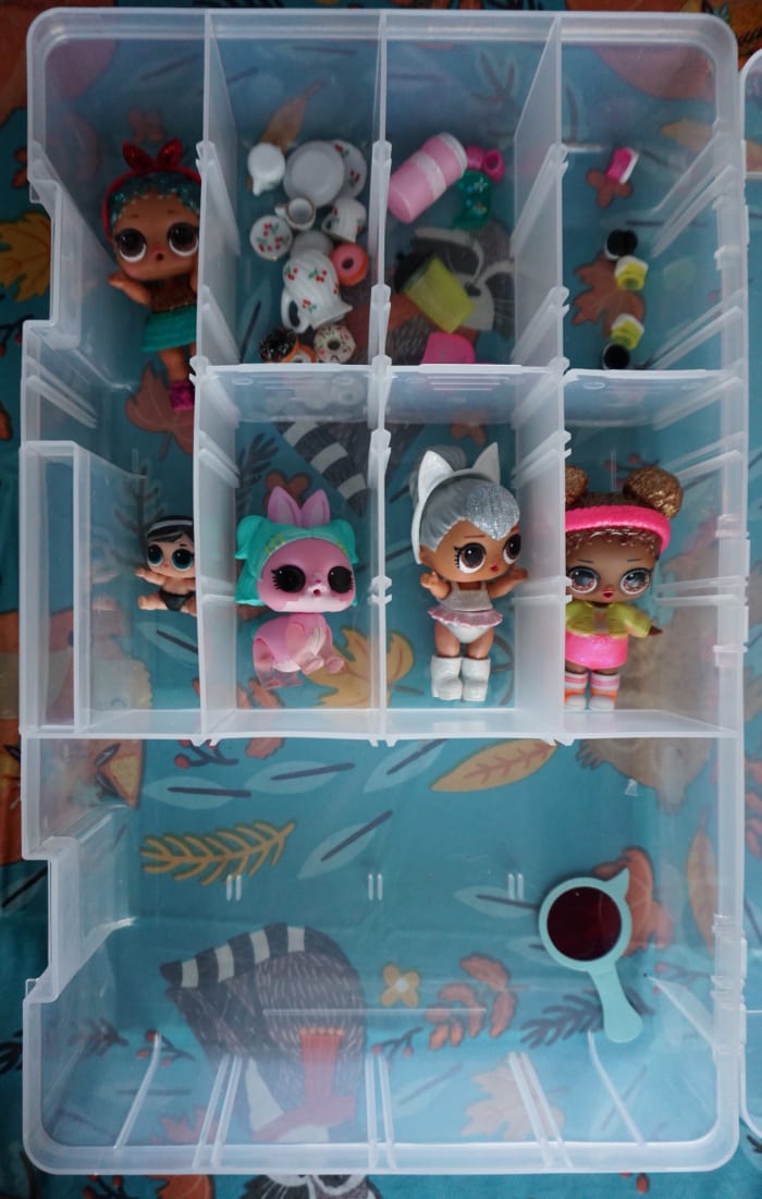 A clear tackle box works well for organizing the infinite number of accessories you'll acquire in very short amount of time.