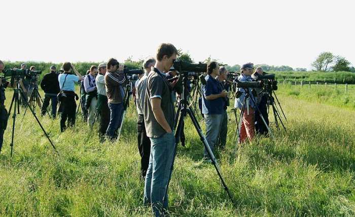 Birders/Twitchers at Caerlaverock, Scotland back in June 2007 watching just the fifth White-tailed Lapwing to be recorded in Britain.