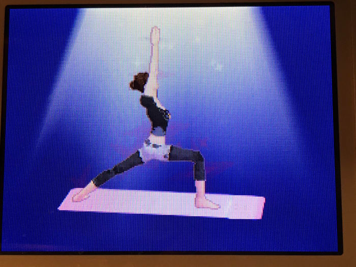 "Let’s Yoga" Nintendo DS Fitness Game Review LevelSkip Video Games