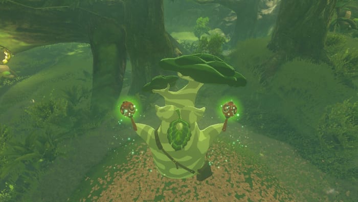 All Hestu Locations in "The Legend of Zelda: Breath of the Wild"