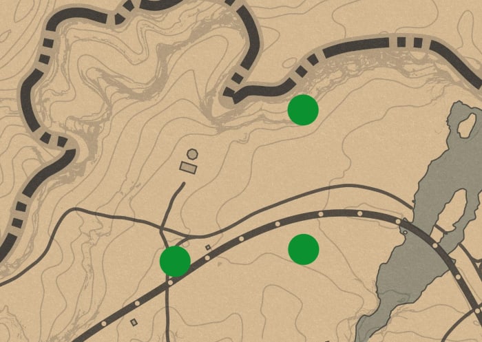 Three places I have been "attacked" from Cougars all around the Doverhill lab. You can also ride up and down Roanoke Ridge, but this is where I always go. Switch sessions if necessary.