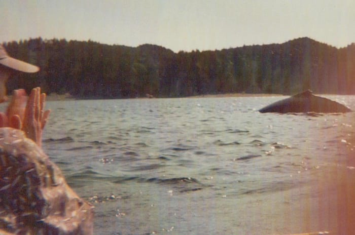 Kayaking with whales in Newfoundland. Sandy clapping at the sighting of a Humpback Whale, only eight months before she passed away.