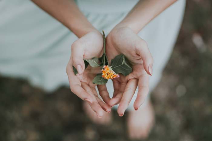 Instead of trying to force yourself to heal or get better, start to focus on creating a supportive treatment plan