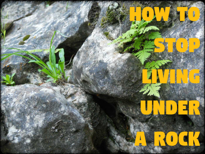 Stop feeling guilty about living under a rock and do something about it. Besides, it's not like people don't know you're utterly clueless. Come out into the sunshine!