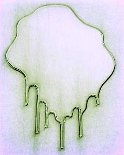 Surprise descriptionari picture