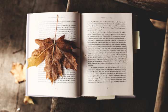 Two Nevers: never too many words, and never enough time to read them.
