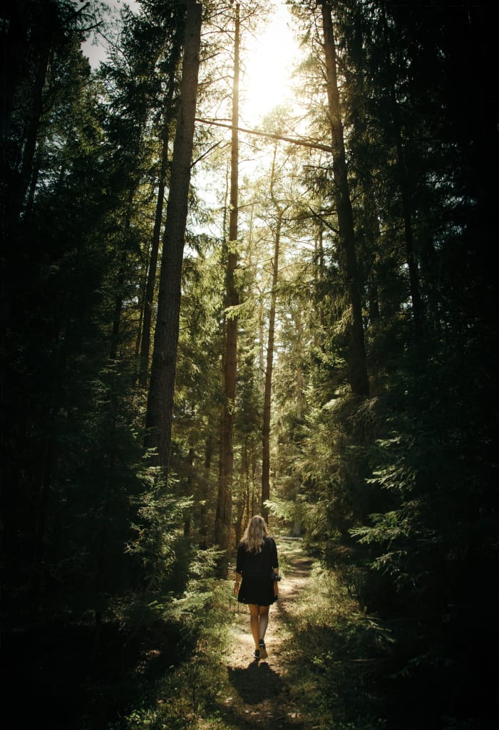 Every cell of organism, from trees to humans, are run on proteins.