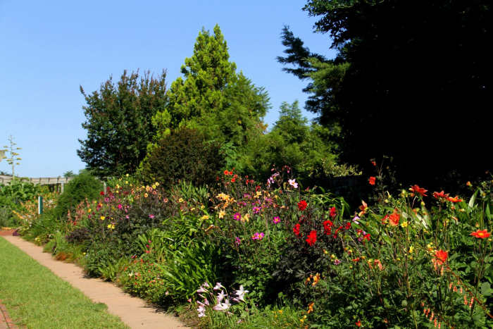 Some older individuals may enjoy outdoor activities like starting a flower or vegetable garden.