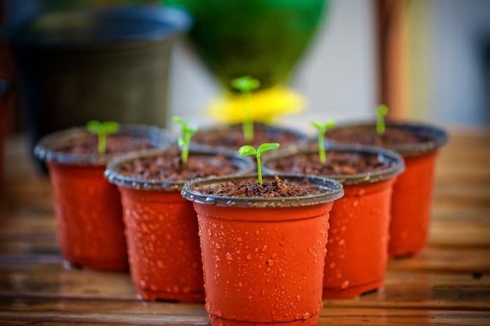 If you like gardening, sell plants - everyone wants to make their garden nice when the sun comes out.