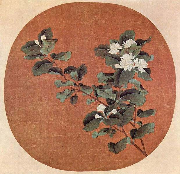 Jasmine Essential Oil The Aromatherapeutic And Health Benefits Of Jasmine Oil RemedyGrove 