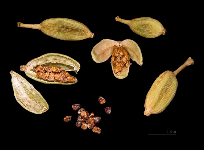 Cardamon Seeds and Capsules