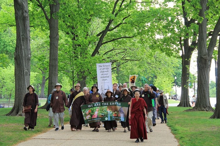 A group mindfully walking