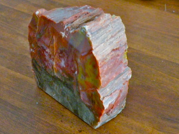 Paperweight made from polished petrified wood. Purchased at Petrified Forest National Park.