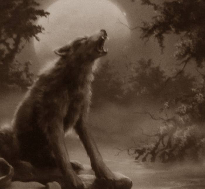 The cover art for Werewolf of Fever Swamp is just as creepy as any horror movie's promo poster!