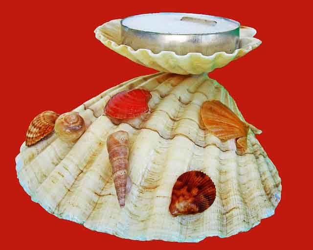 Two sea shells mounted to hold a tea candle. The base has been accented with other types of sea shells.
